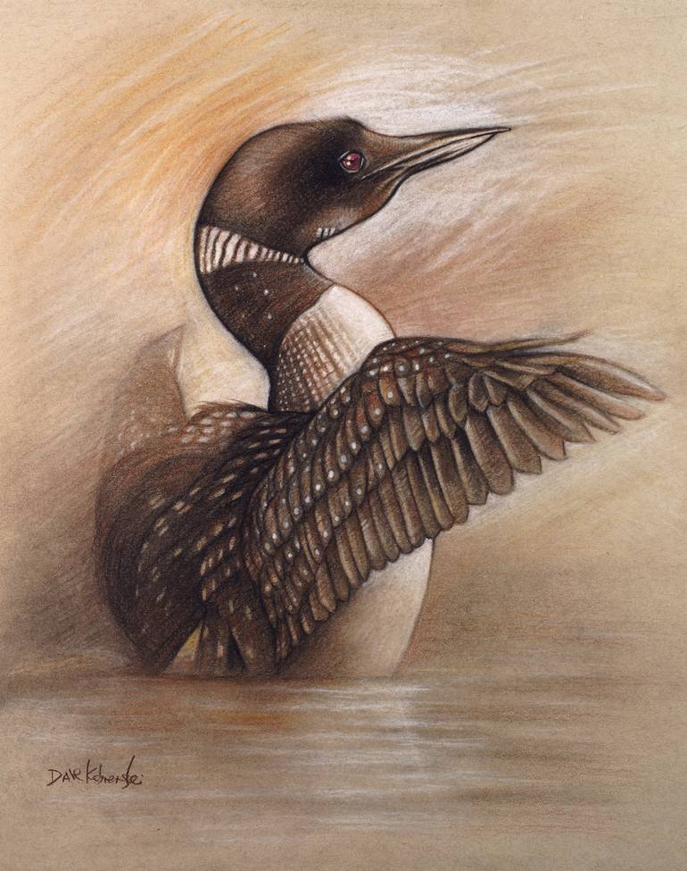 Loon Drawing Pic