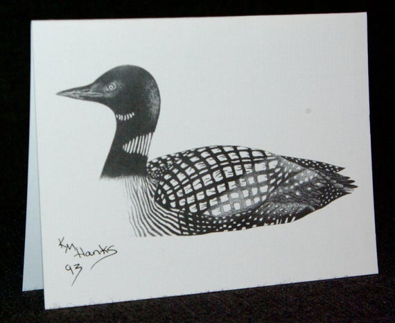 Loon Drawing Picture