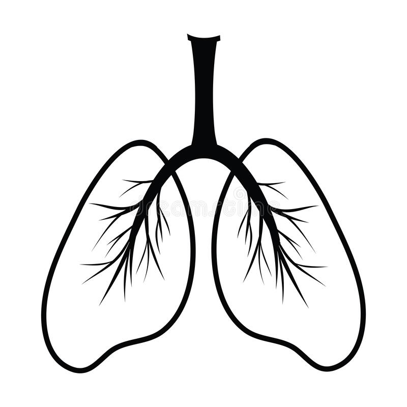 Lungs Drawing Photo