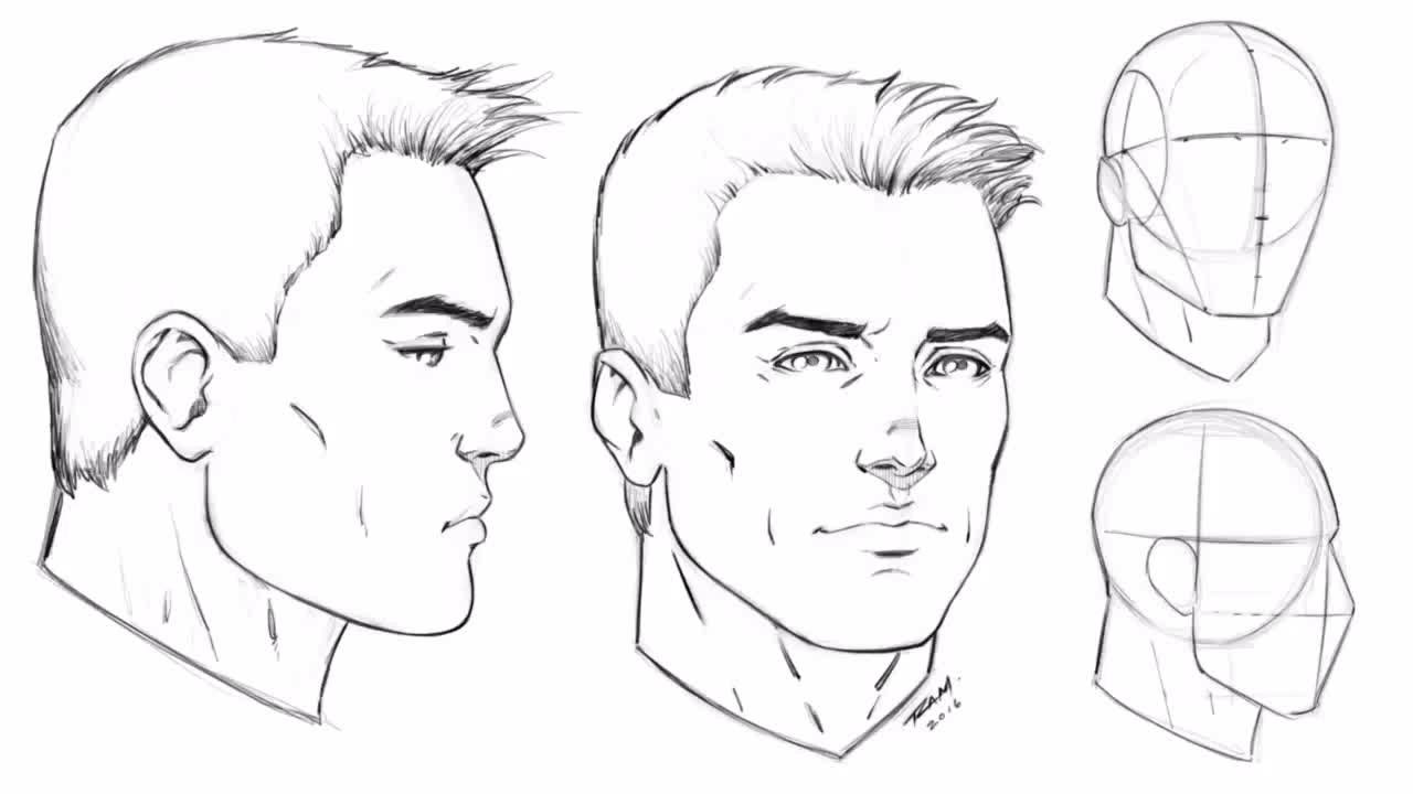 Male Face Drawing Sketch