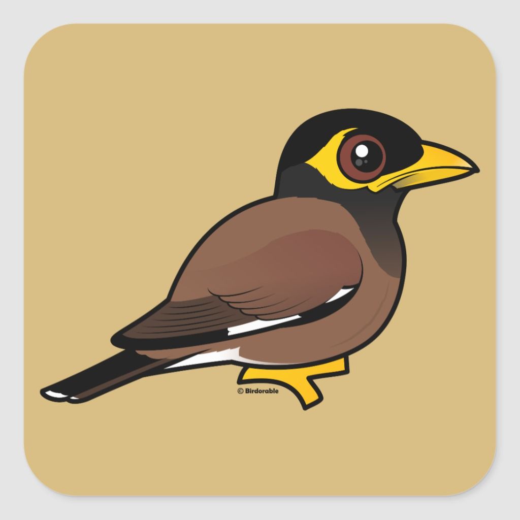 Mynah Drawing Sketch