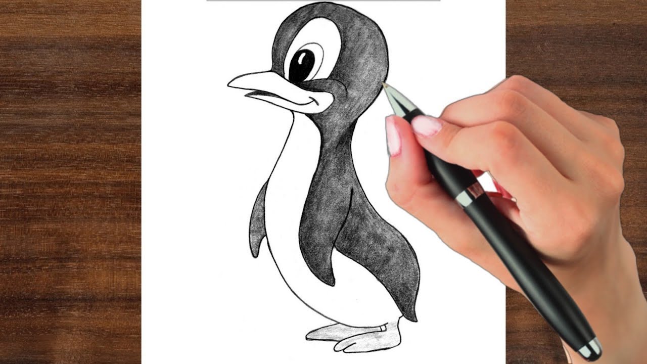 Penguin Drawing Beautiful Image