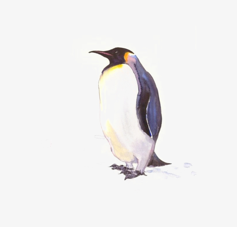 Penguin Drawing Pic