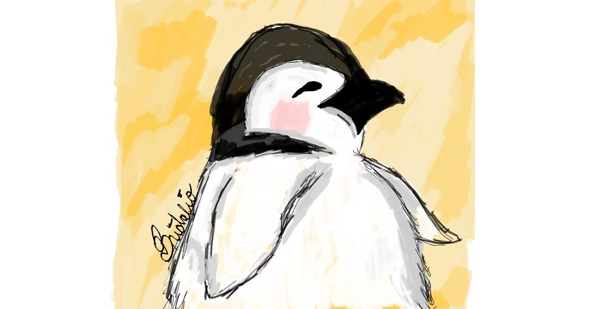 Penguin Drawing Pics