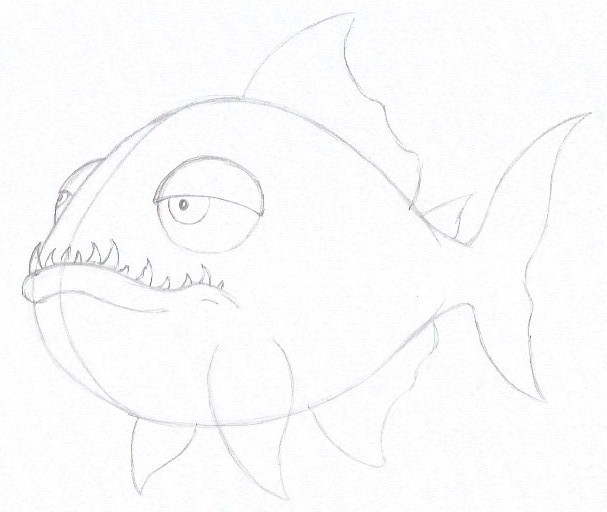 Piranha Drawing Photo