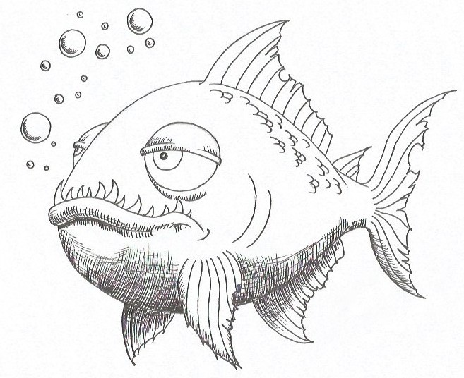 Piranha Drawing Pics