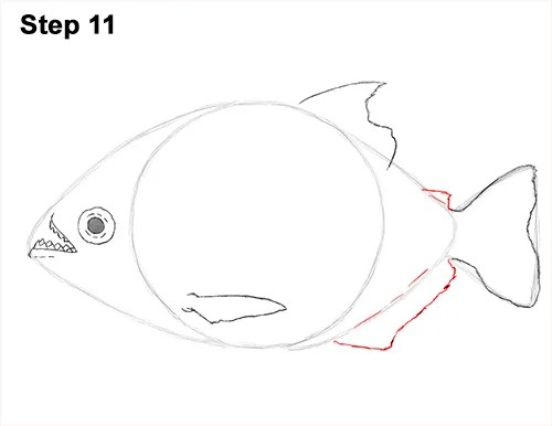 Piranha Drawing Picture