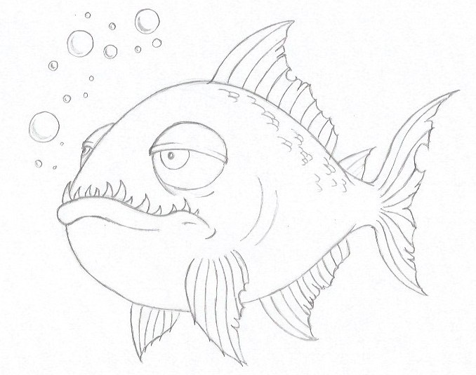 Piranha Drawing Sketch