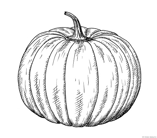 Pumpkin Drawing High-Quality