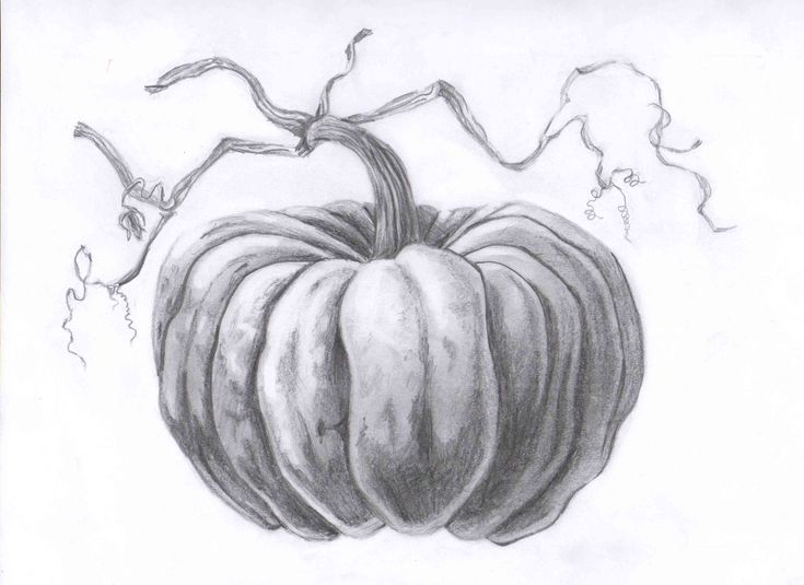 Pumpkin Drawing Images