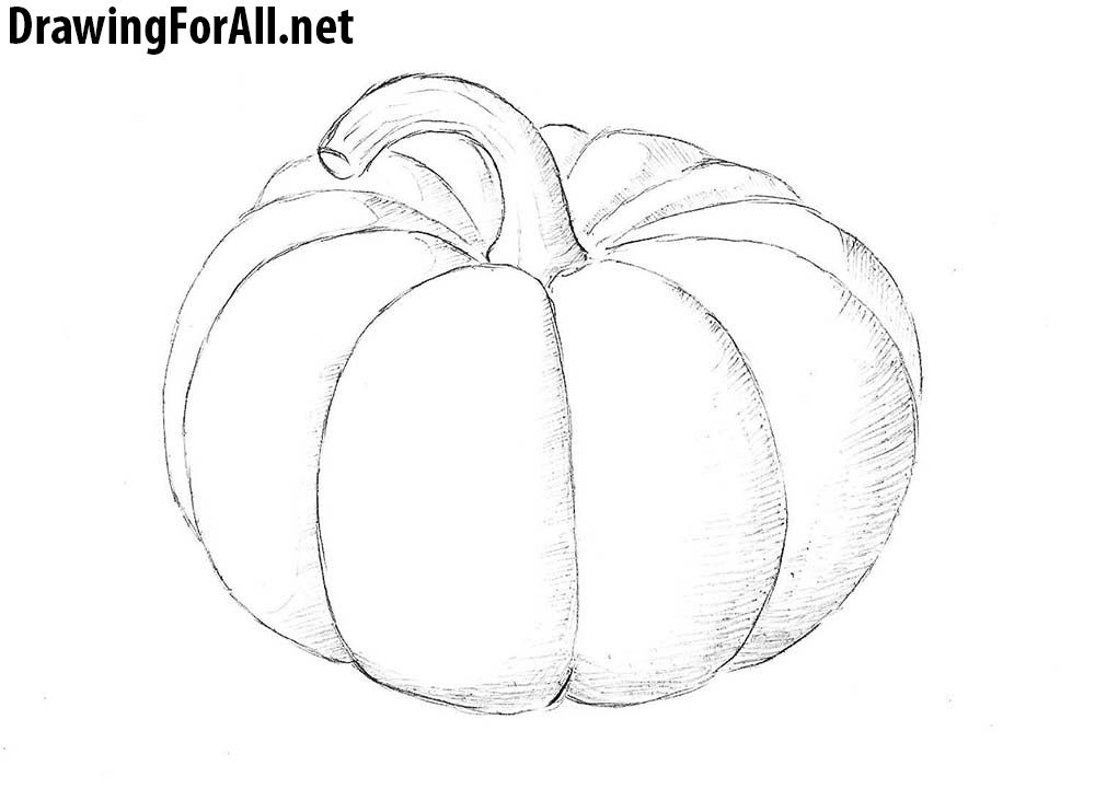 Pumpkin Drawing Pictures