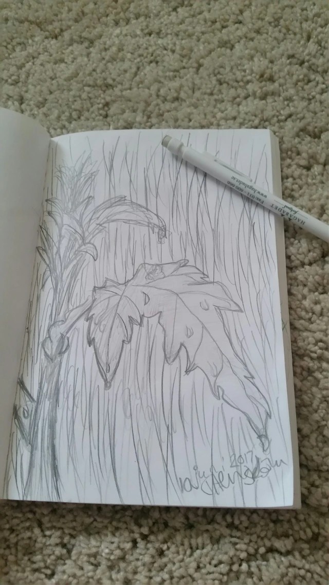 Raindrop Drawing Art