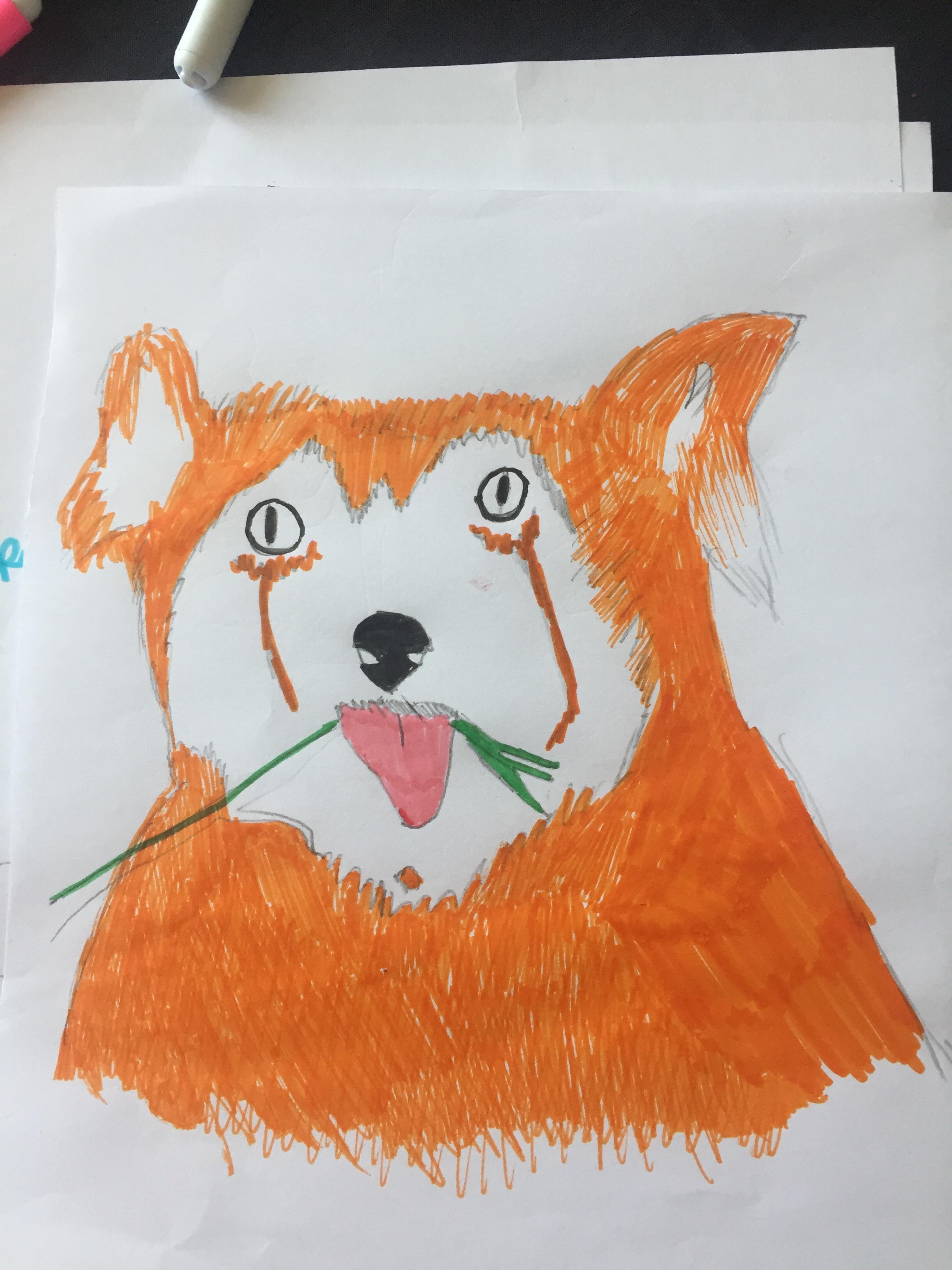 Red Panda Drawing Art