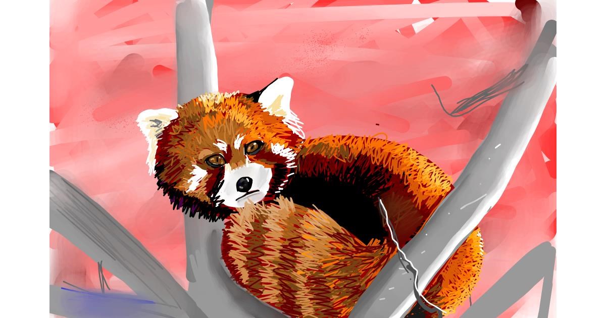 Red Panda Drawing Beautiful Image