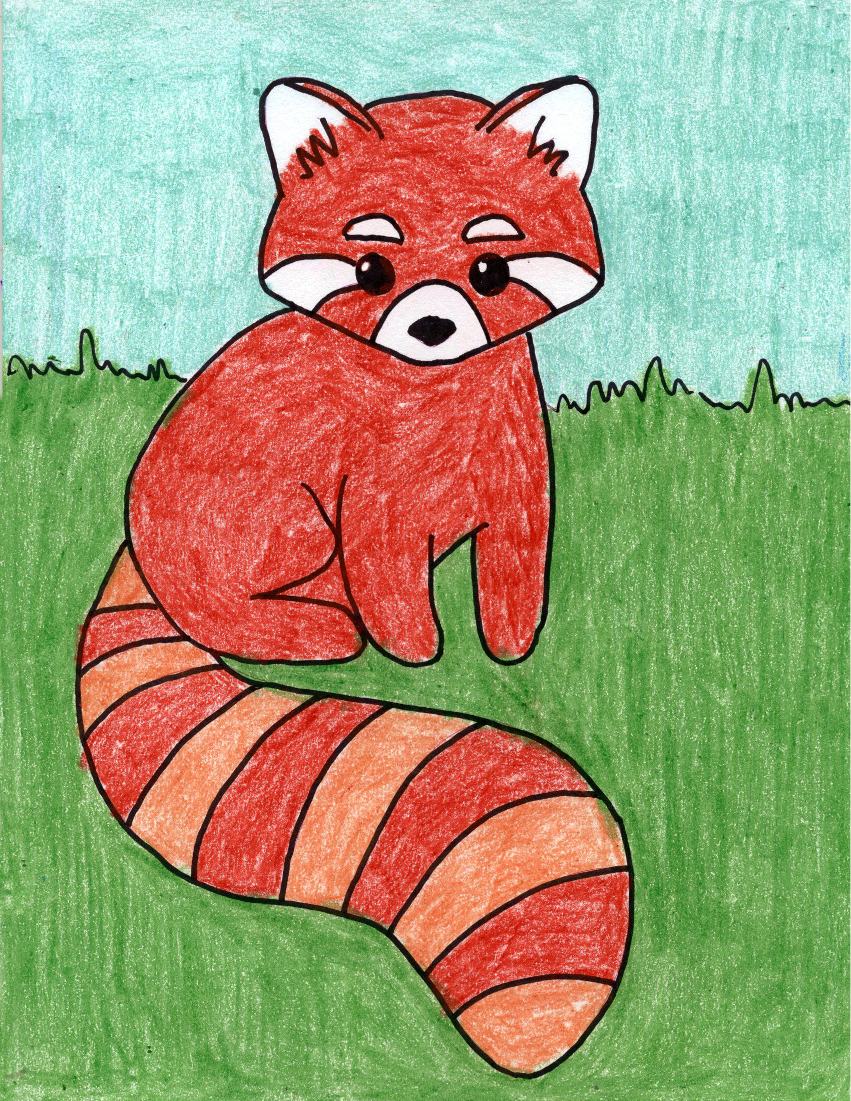 Red Panda Drawing Pic