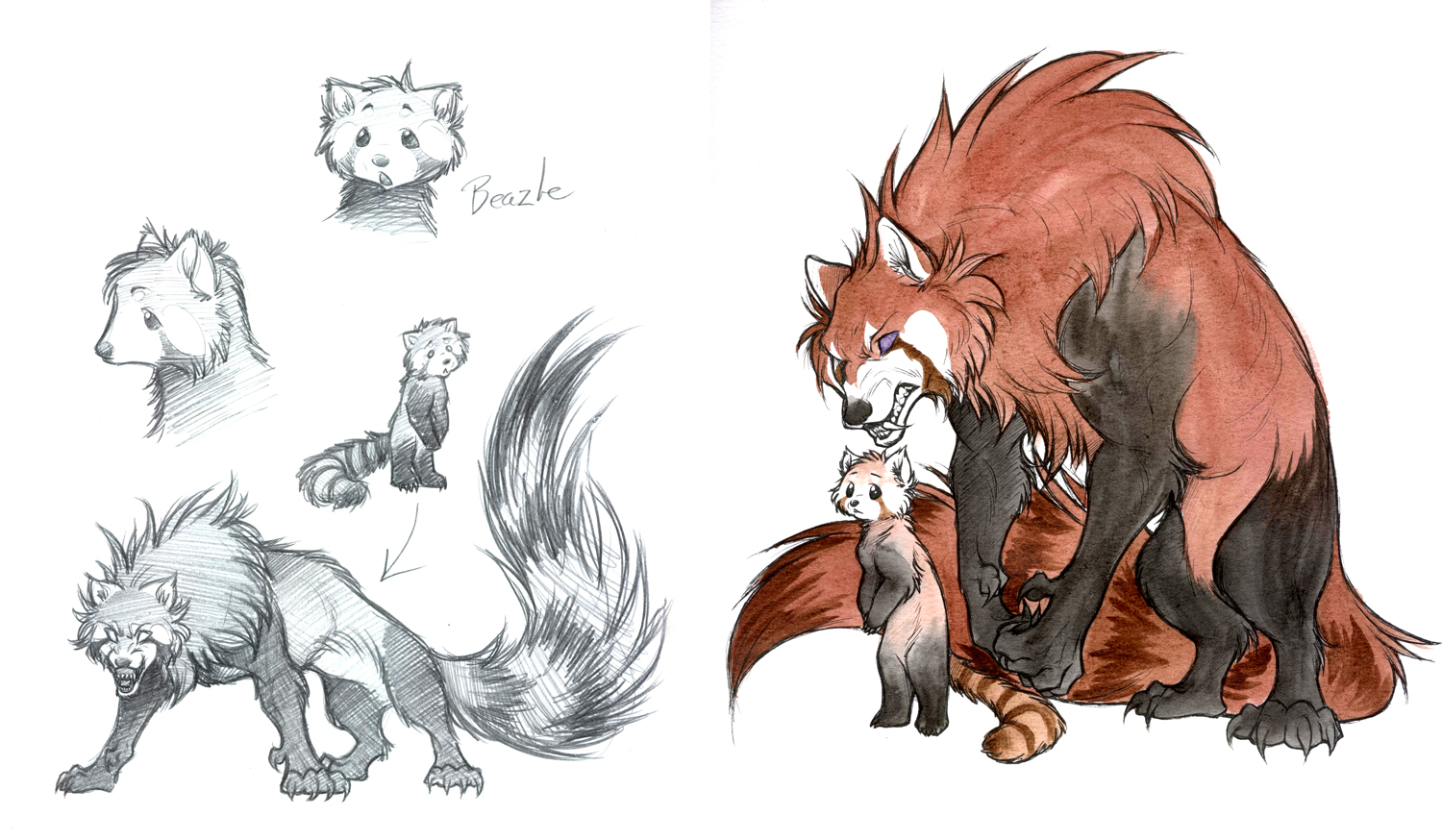 Red Panda Drawing Sketch