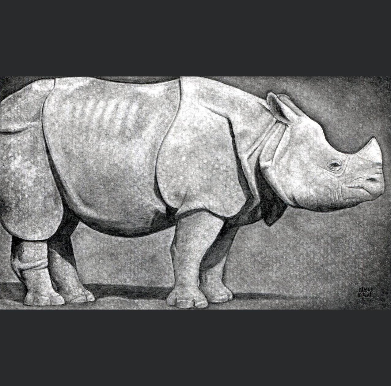 Rhinoceros Drawing Beautiful Image