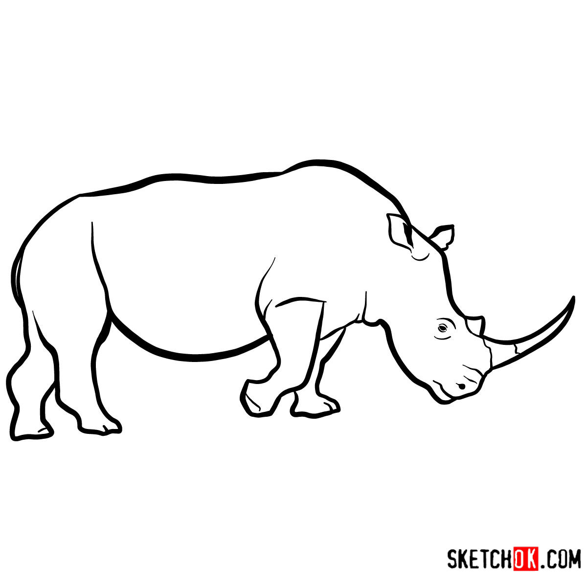Rhinoceros Drawing Creative Art