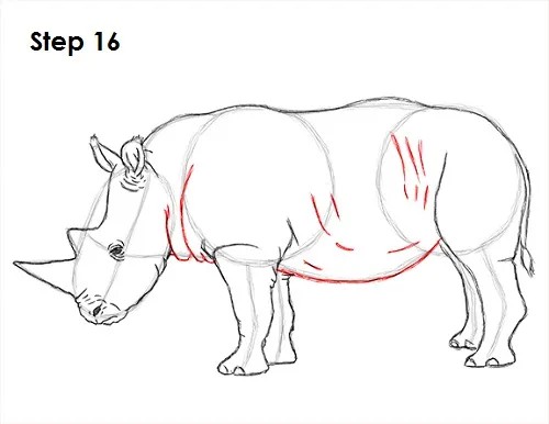 Rhinoceros Drawing Pictures