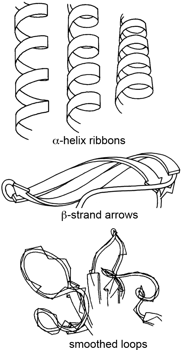 Ribbon Drawing Realistic