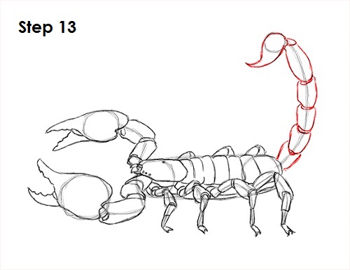 Scorpion Drawing Amazing