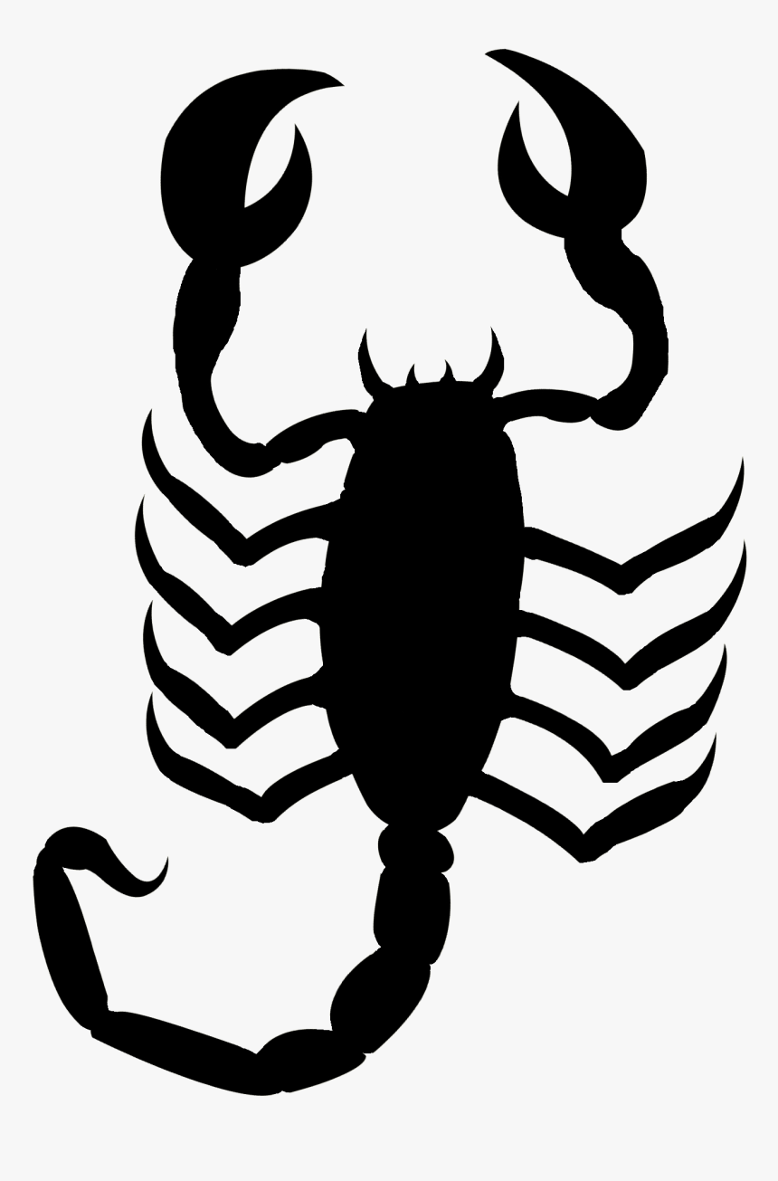 Scorpion Drawing Image