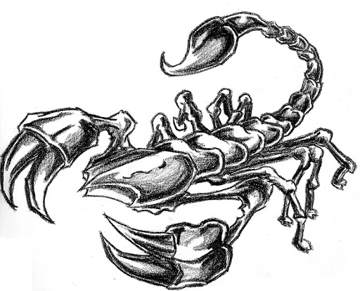 Scorpion Drawing Pic