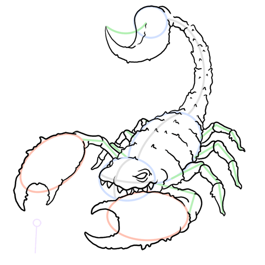 Scorpion Drawing Pics