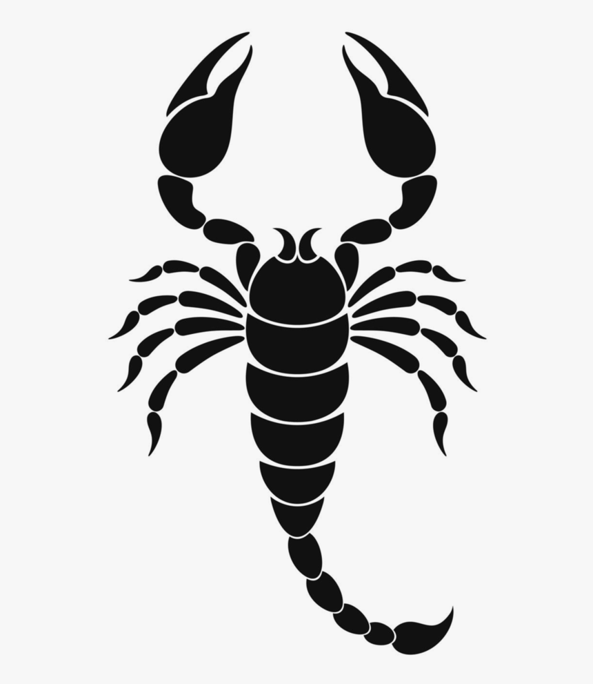 Scorpion Drawing Picture