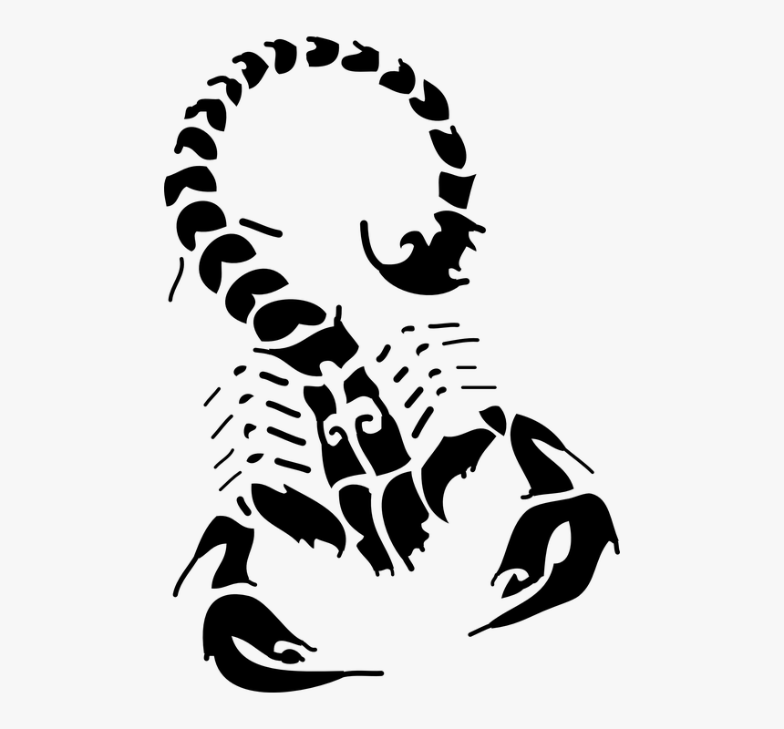 Scorpion Stinger Drawing