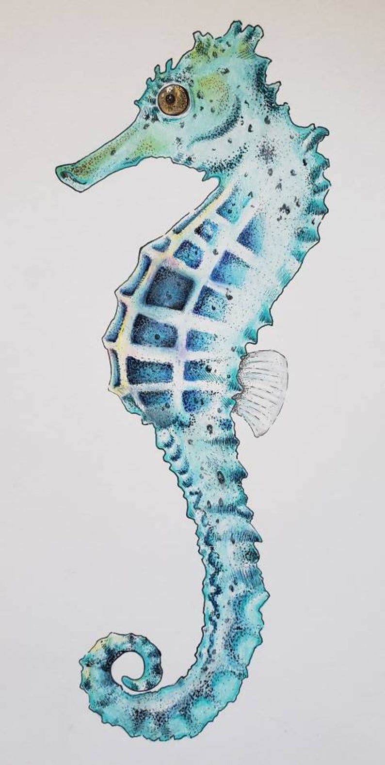 Seahorse Drawing Amazing
