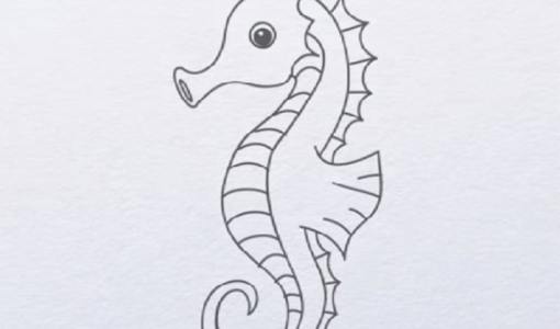 Seahorse Drawing Sketch