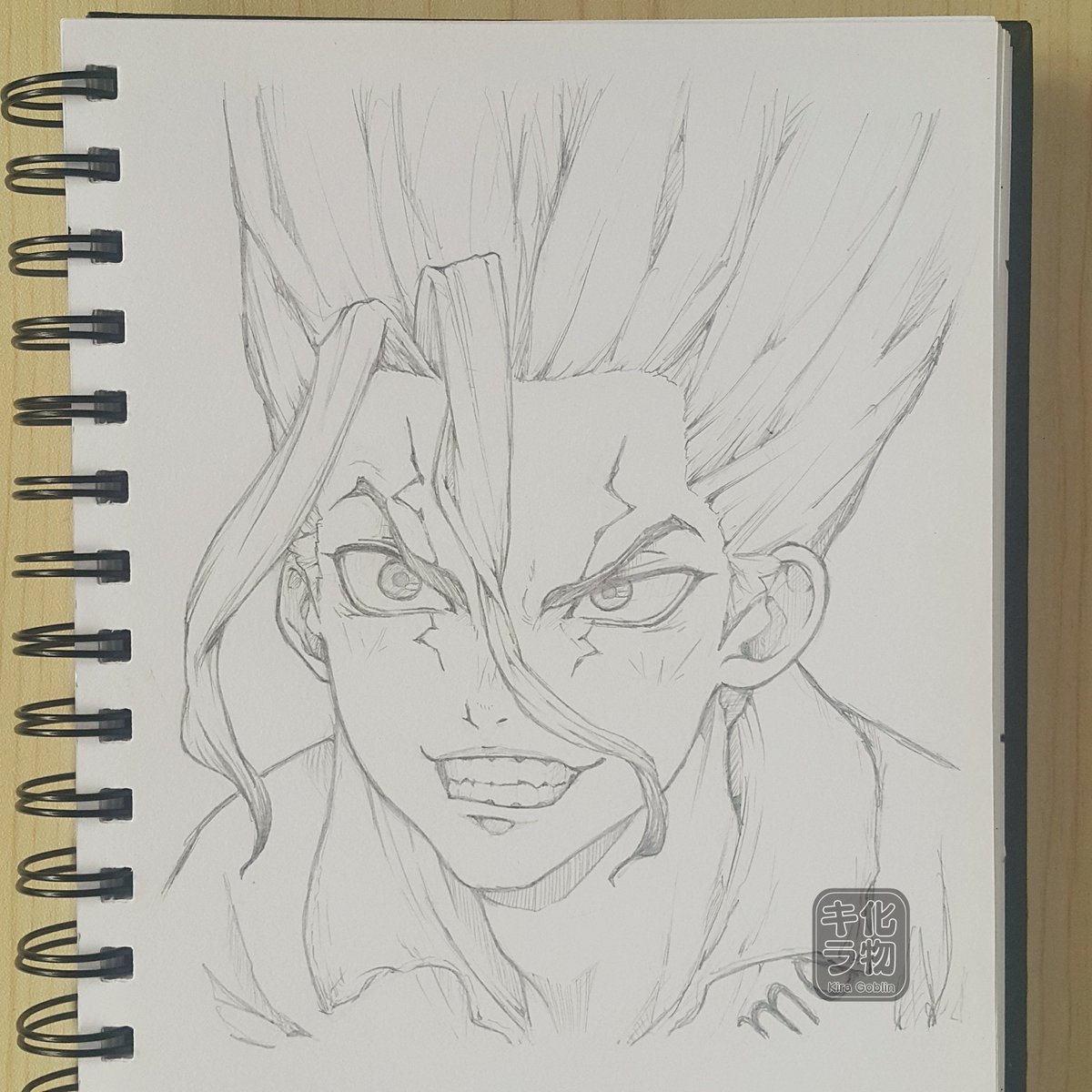 Senku Ishigami Drawing Pics