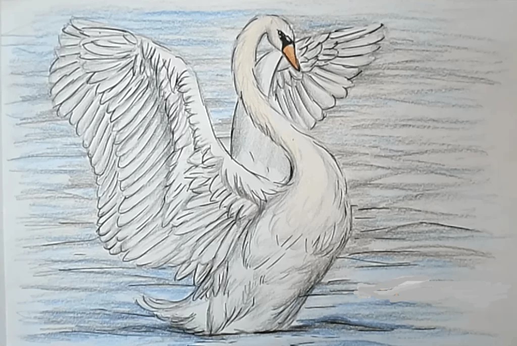Realistic Swan Illustration Drawing Illustration Drawing Drawing Coloring  Drawing Illustration Stock Illustration - Illustration of lake, animals:  108549402