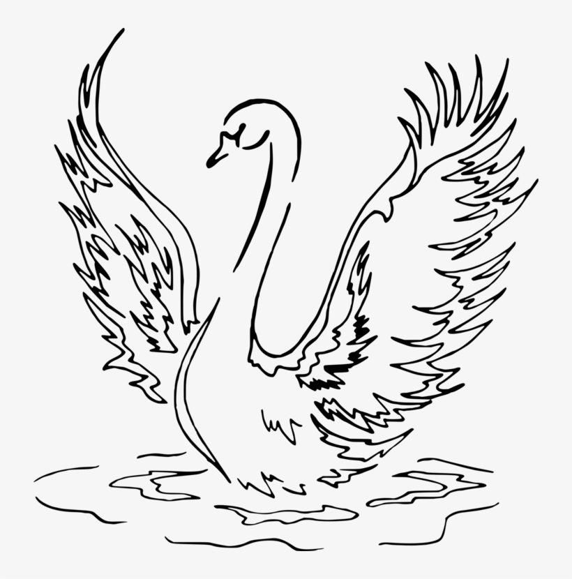 Swan Drawing Image