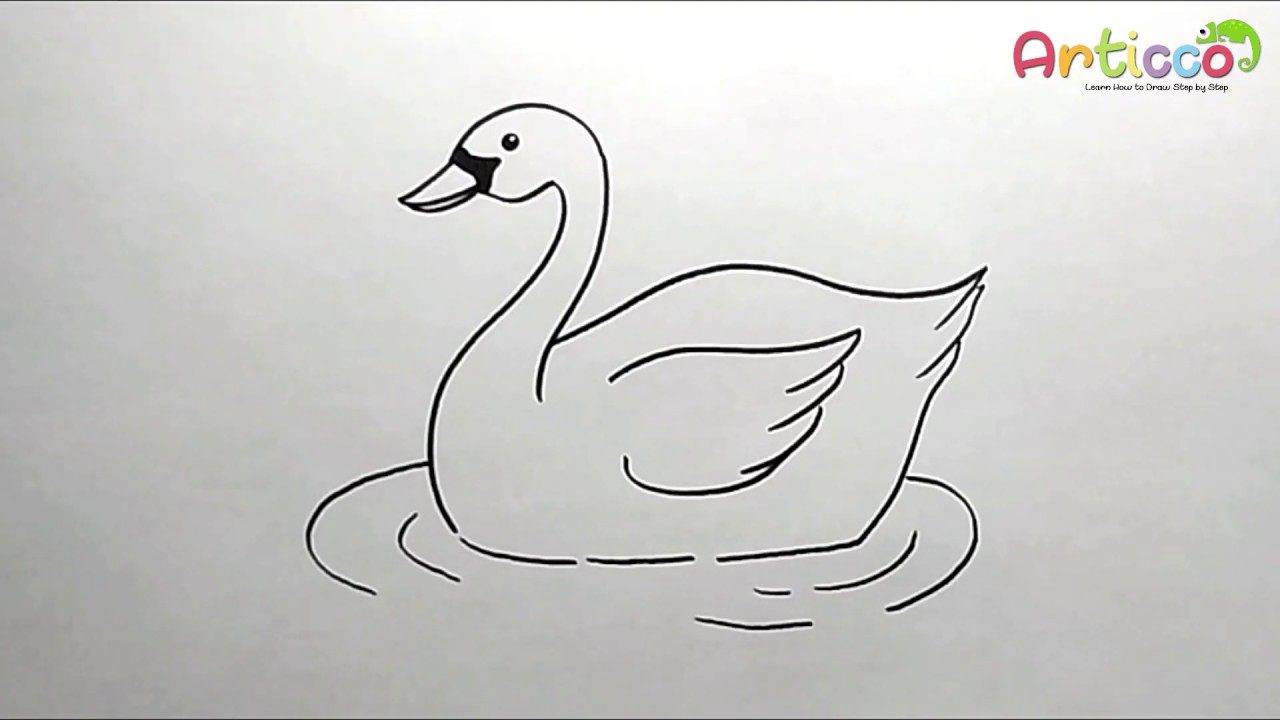 Swan Drawing Images
