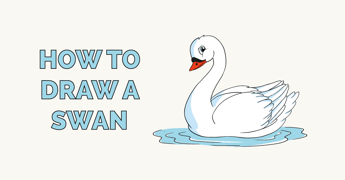 Swan Drawing Realistic