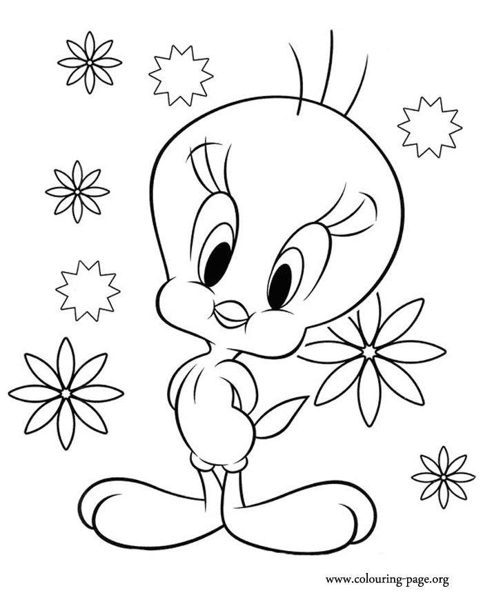 Tweety Drawing Picture