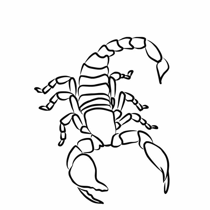 Venomous Scorpion Drawing Image