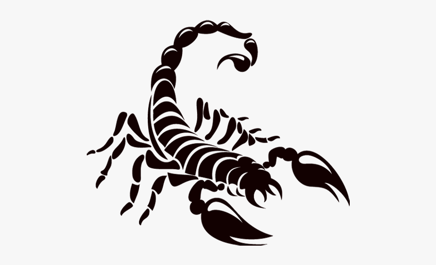 Venomous Scorpion Drawing Pic