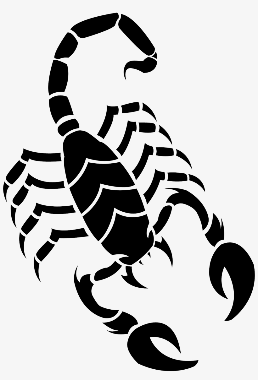 Venomous Scorpion Drawing