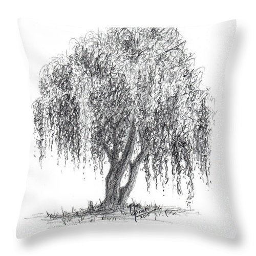 Weeping Willow Tree Drawing Beautiful Image