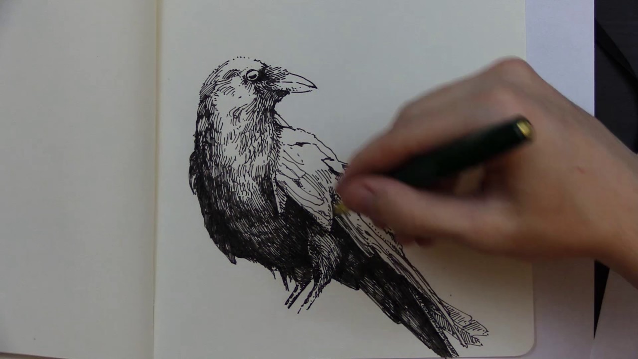 Allan Poe Drawing Amazing