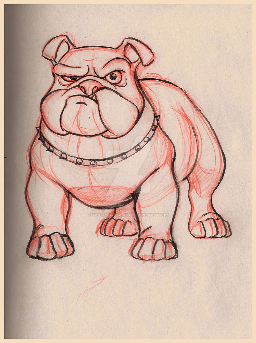 Bulldog Drawing Art