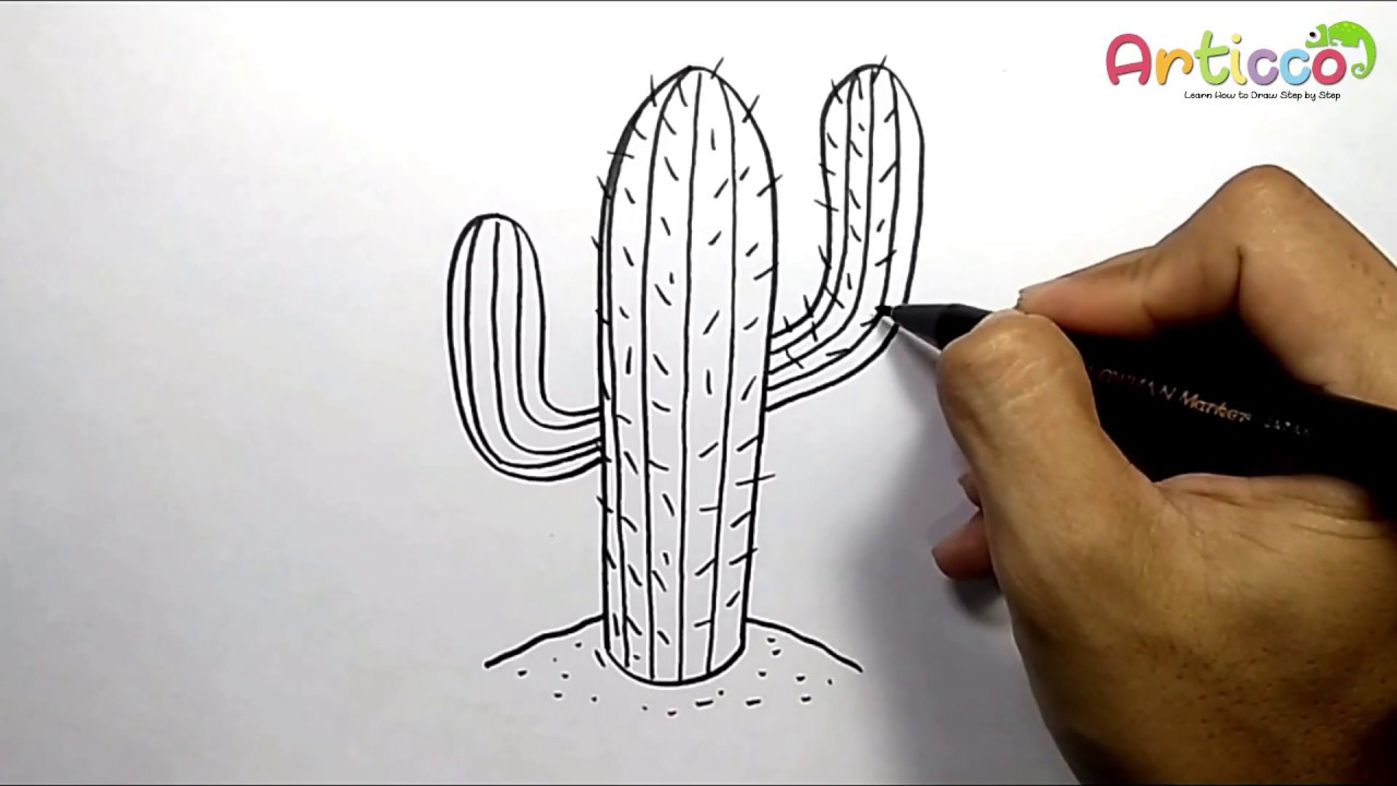 Cactus Drawing Photo