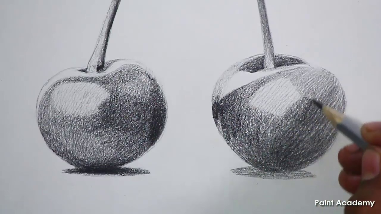 Cherry Drawing Sketch