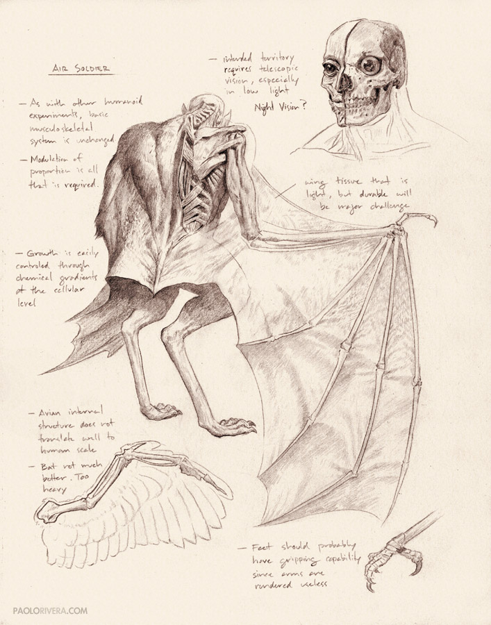 Chimeras Drawing Images