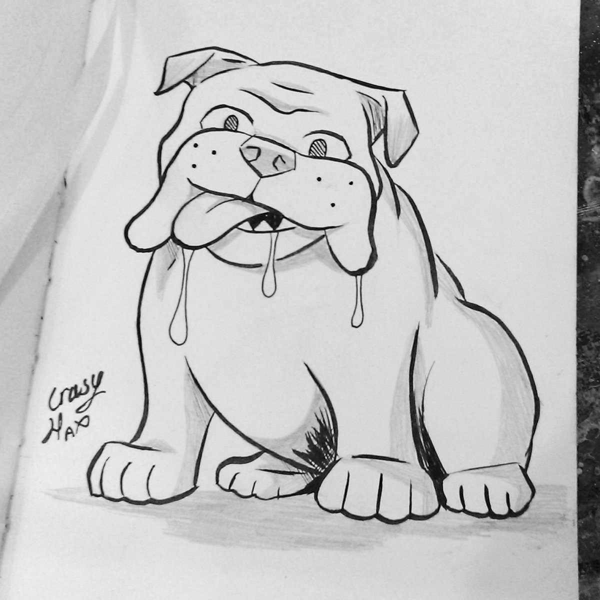 Cute Bulldog Drawing Pics