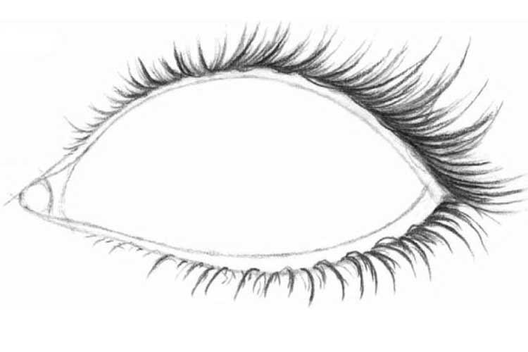 Eyelashes Drawing Amazing