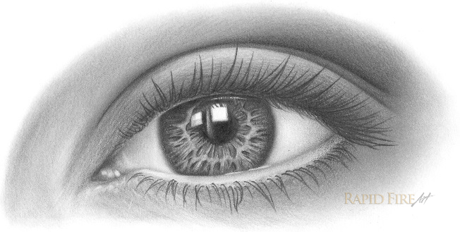 Eyelashes Drawing High-Quality